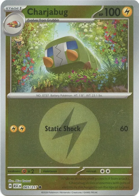 Charjabug Energy Symbol Pattern #065/217 Reverse Holofoil Pokémon card from Ascended Heroes