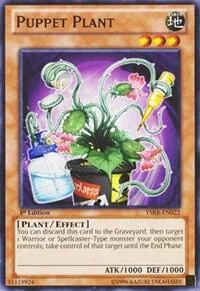 Puppet Plant YSKR-EN022 1st Edition Yu-Gi-Oh card from Starter Deck: Kaiba Reloaded