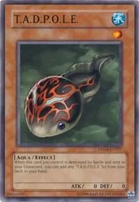 T.A.D.P.O.L.E. DR04-EN027 Yu-Gi-Oh card from Dark Revelation Volume 4