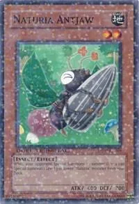 Naturia Antjaw DT02-EN069 Yu-Gi-Oh card from Duel Terminal 2