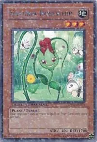 Naturia Rosewhip DT02-EN071 Yu-Gi-Oh card from Duel Terminal 2