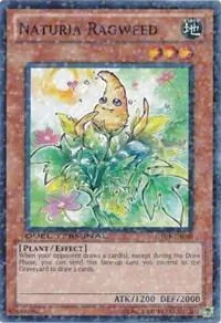 Naturia Ragweed DT04-EN080 Yu-Gi-Oh card from Duel Terminal 4