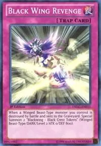 Black Wing Revenge DRLG-EN031 1st Edition Yu-Gi-Oh card from Dragons of Legend