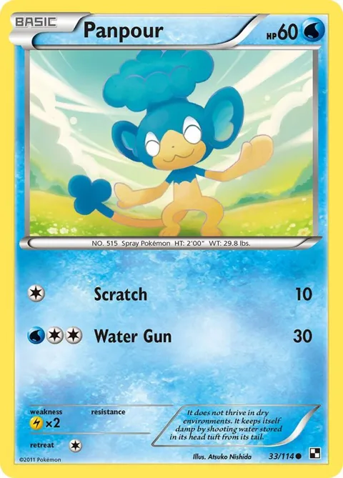 Panpour #33/114 Pokémon card from Black and White