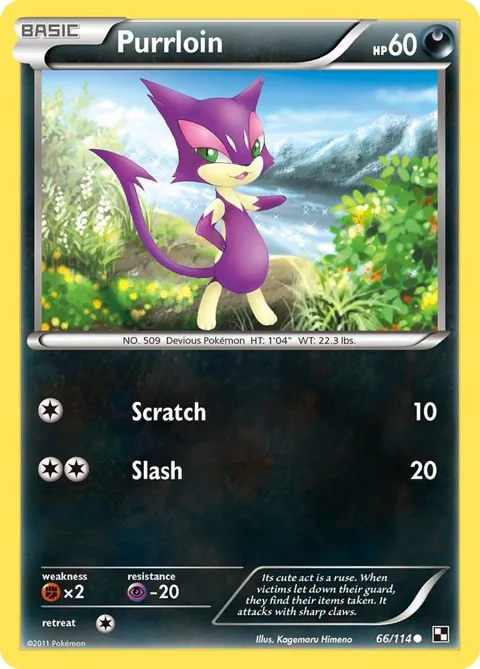 Purrloin #66/114 Pokémon card from Black and White