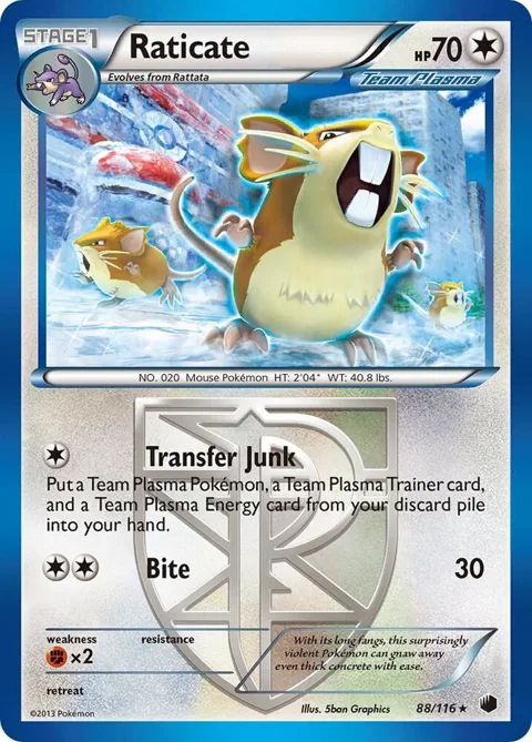 Raticate Team Plasma #88/116 Reverse Holofoil Pokémon card from Plasma Freeze