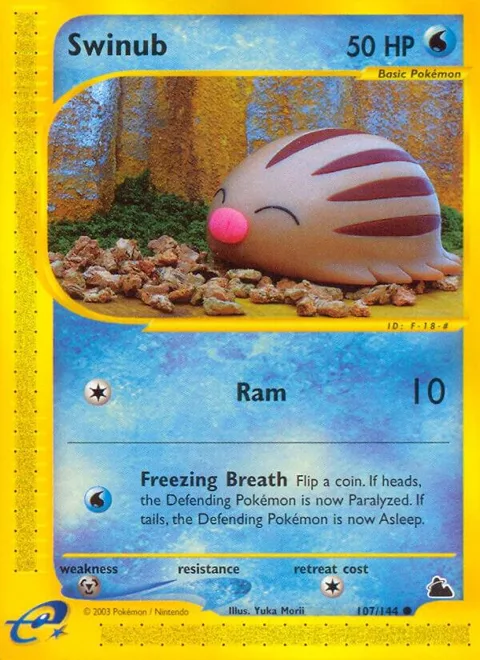 Swinub 107 #107/144 Pokémon card from Skyridge
