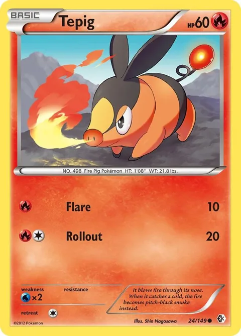 Tepig #24/149 Pokémon card from Boundaries Crossed