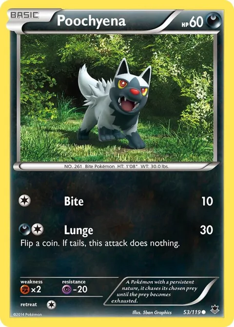 Poochyena #53/119 Pokémon card from XY - Phantom Forces