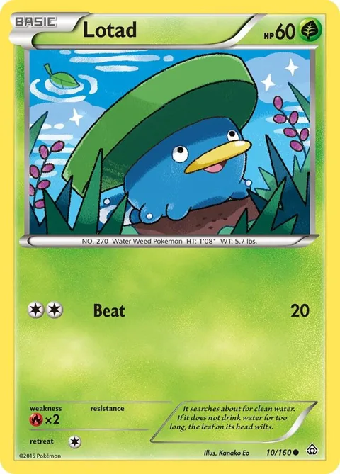 Lotad #10/160 Reverse Holofoil Pokémon card from XY - Primal Clash