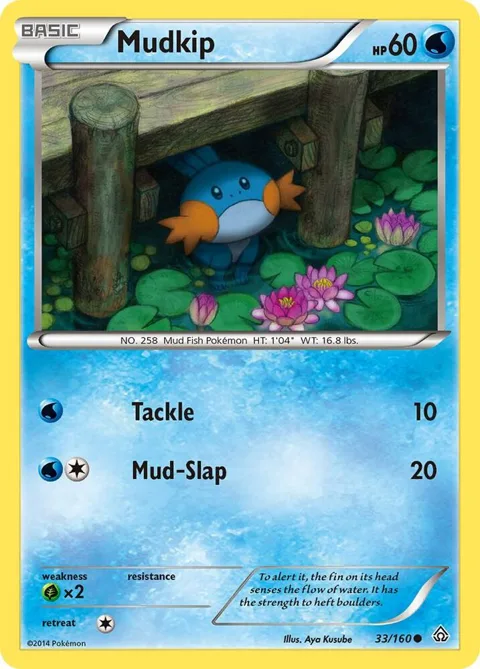 Mudkip #33/160 Reverse Holofoil Pokémon card from XY - Primal Clash