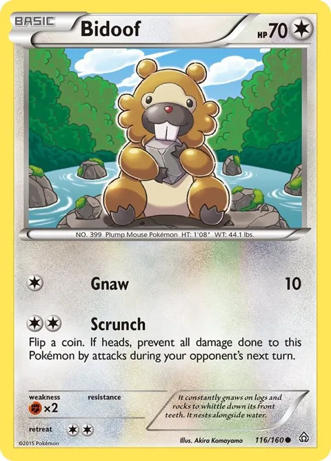 Bidoof #116/160 Pokémon card from XY - Primal Clash