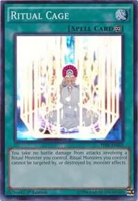 Ritual Cage THSF-EN055 1st Edition Yu-Gi-Oh card from The Secret Forces