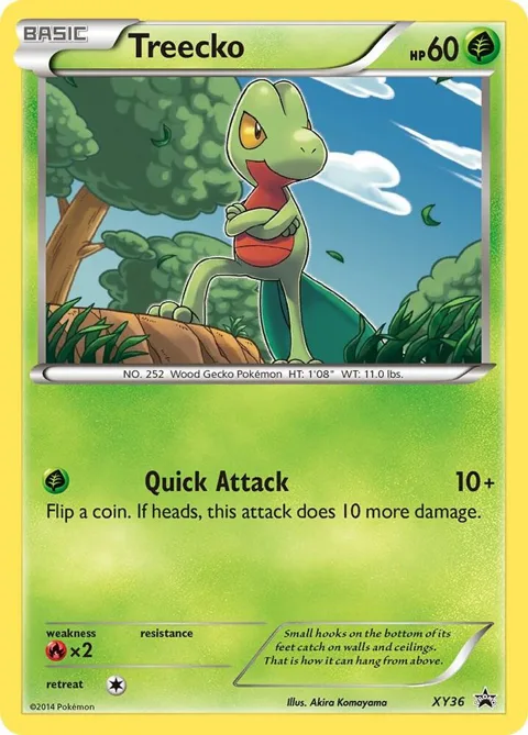 Treecko #XY36 Holofoil Pokémon card from XY Promos