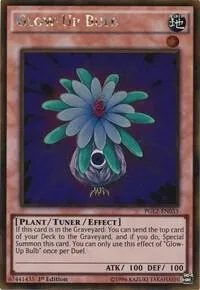 Glow-Up Bulb PGL2-EN033 1st Edition Yu-Gi-Oh card from Premium Gold: Return of the Bling