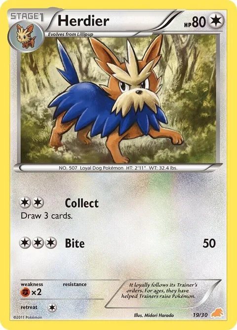 Herdier #19/30 Pokémon card from BW Trainer Kit: Excadrill & Zoroark