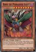 Bird of Paradise Lost CORE-EN040
