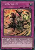 Dried Winds CORE-EN075