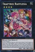 Traptrix Rafflesia BOSH-EN099
