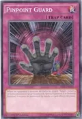 Pinpoint Guard SR01-EN040
