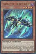Raidraptor - Tribute Lanius WIRA-EN021