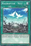 Raidraptor - Nest WIRA-EN026