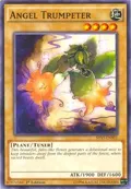 Angel Trumpeter SHVI-EN001