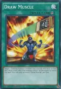 Draw Muscle YS16-EN024
