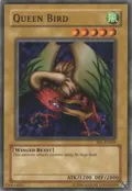 Queen Bird SRL-009