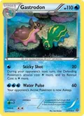 Gastrodon #29/114