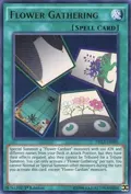 Flower Gathering DRL3-EN040