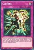 Cloning SDKS-EN035