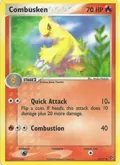 Combusken #25