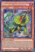 Predaplant Chlamydosundew FUEN-EN005