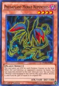 Predaplant Moray Nepenthes FUEN-EN007
