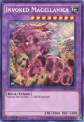 Invoked Magellanica FUEN-EN031