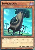 Baobaboon RATE-ENSE4