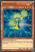 Brohunder DUSA-EN012