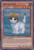 Rescue Cat DUSA-EN072