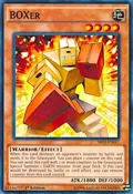 BOXer SR03-EN017