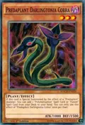Predaplant Darlingtonia Cobra MACR-EN010
