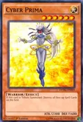 Cyber Prima DPDG-EN009