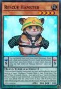 Rescue Hamster PEVO-EN028