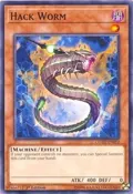Hack Worm COTD-EN012