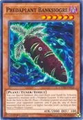 Predaplant Banksiogre COTD-EN016