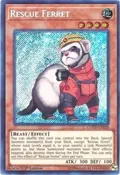 Rescue Ferret COTD-EN029