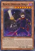 Black Dragon Ninja MP17-EN086