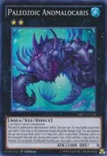 Paleozoic Anomalocaris MP17-EN126