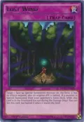 Lost Wind MP17-EN220