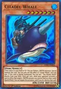 Citadel Whale LEDU-EN016
